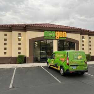 A green and yellow “Ecogenpest” sign above the entrance of a beige building with a parked branded van in front, displaying green graphics and text, in a mostly empty parking lot.