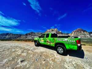A green Ecogen truck with pest control advertising is parked on gravel, set against mountains and a blue sky. The contact number and Ecogenpest website are clearly visible on the truck's side and back.