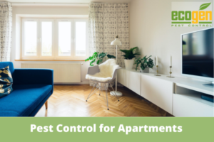 Prepare Your Apartment for Pest Control