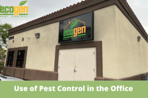 What Is the Use of Pest Control in the Office