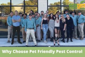 Why-Choose-Pet-Friendly-Pest-Control