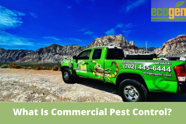 What Is Commercial Pest Control