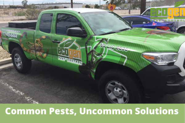 Common Pests, Uncommon Solutions