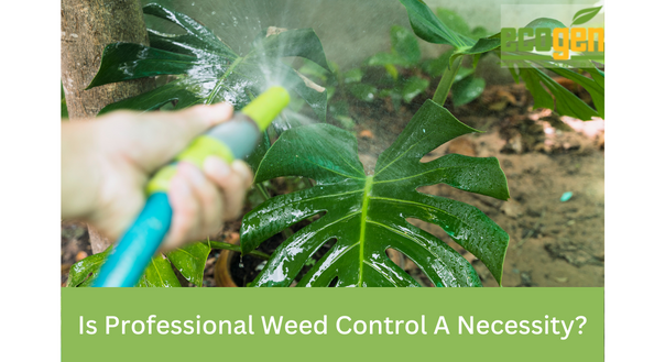 Is Professional Weed Control A Necessity