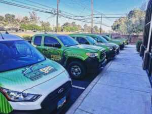 A row of green trucks and a van with "Big Green" and Ecogenpest logos are parked in angled spaces outside a building, next to a sidewalk and landscaped trees under a clear sky.