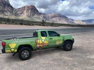 An EcoGenpest green pickup truck is parked on a gravel area beside a road with rock formations and mountains in the background under a partly cloudy sky.