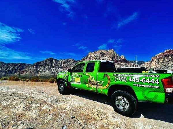 Freedom from Pests or Your Money Back