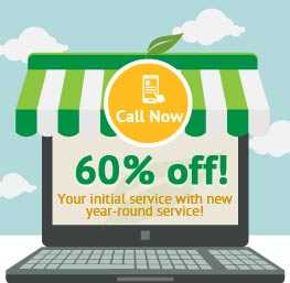 60% off ecogen service!